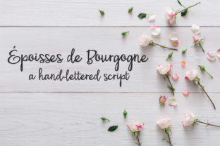 PN Époisses De Bourgogne: A Refined Script Typeface